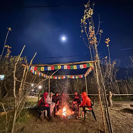 Basecamp Manali Hostel ภายนอก รูปภาพ