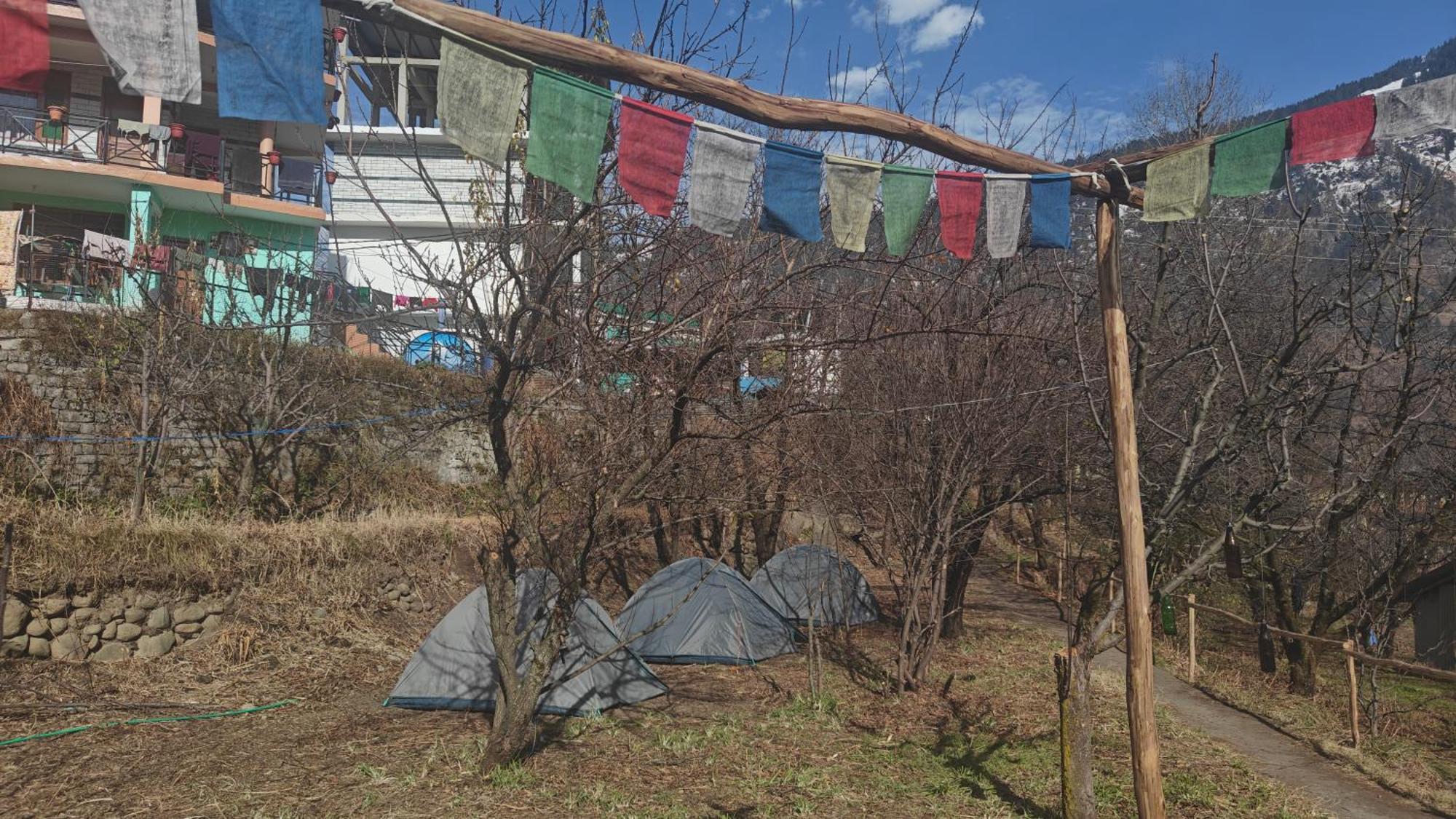 Basecamp Manali Hostel ห้อง รูปภาพ