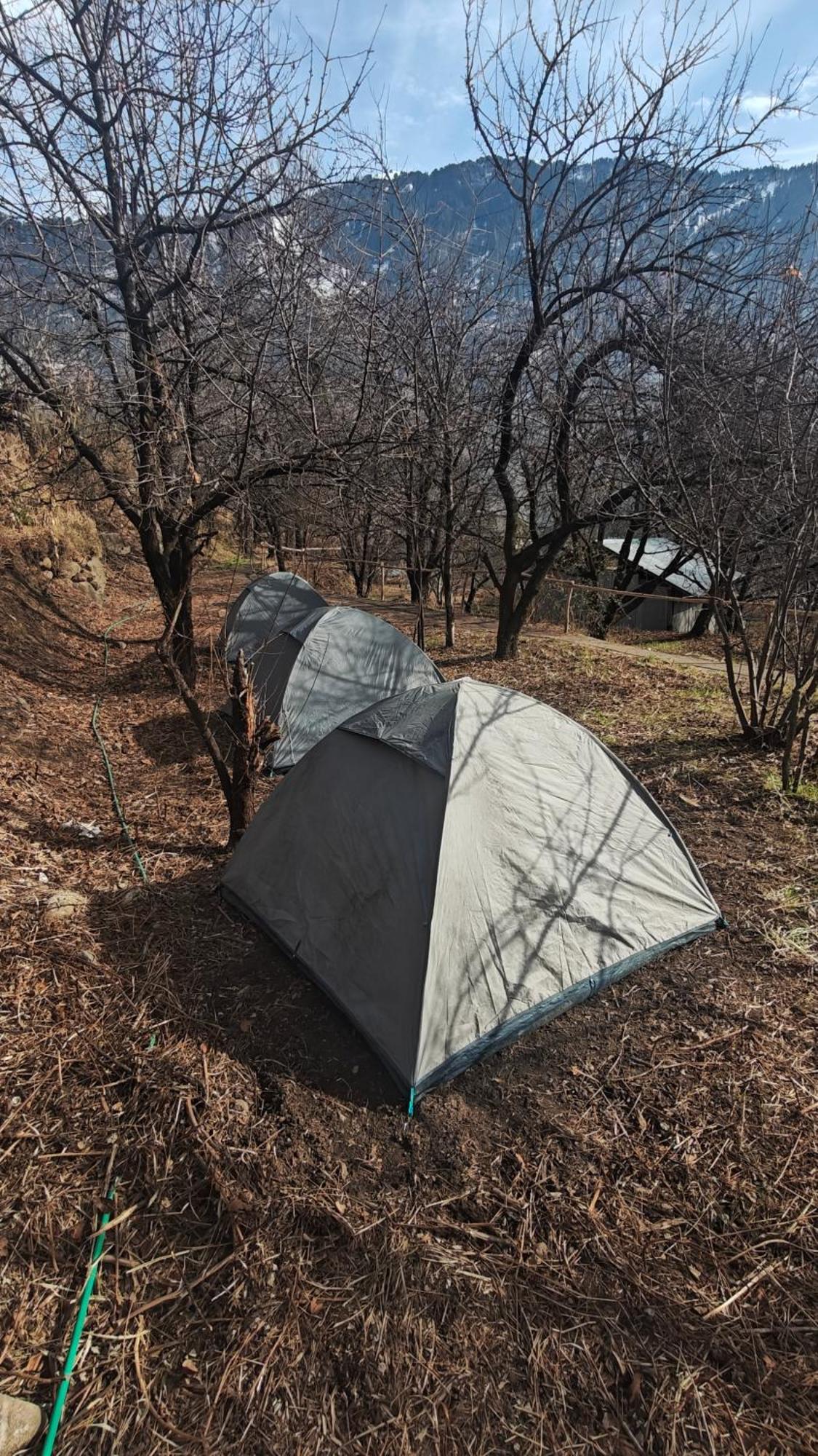 Basecamp Manali Hostel ห้อง รูปภาพ
