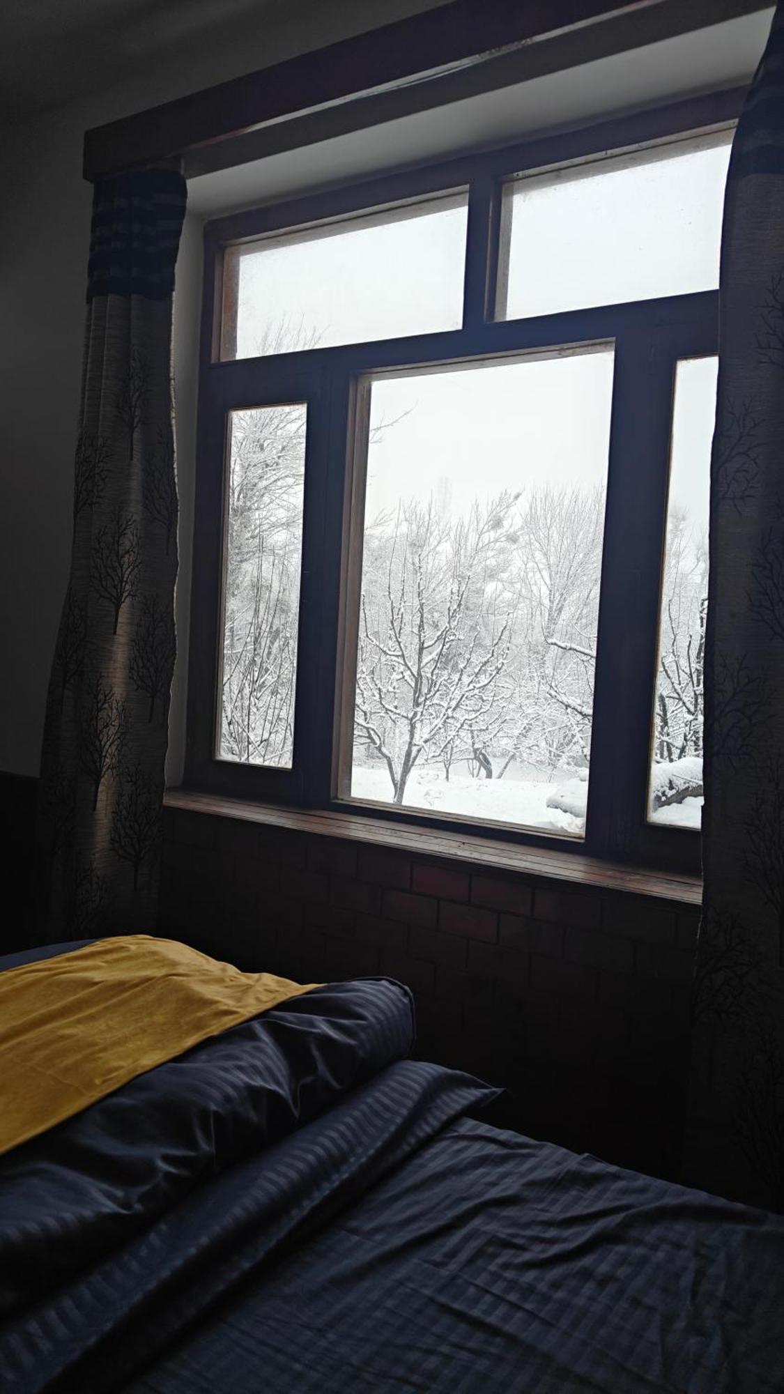 Basecamp Manali Hostel ห้อง รูปภาพ