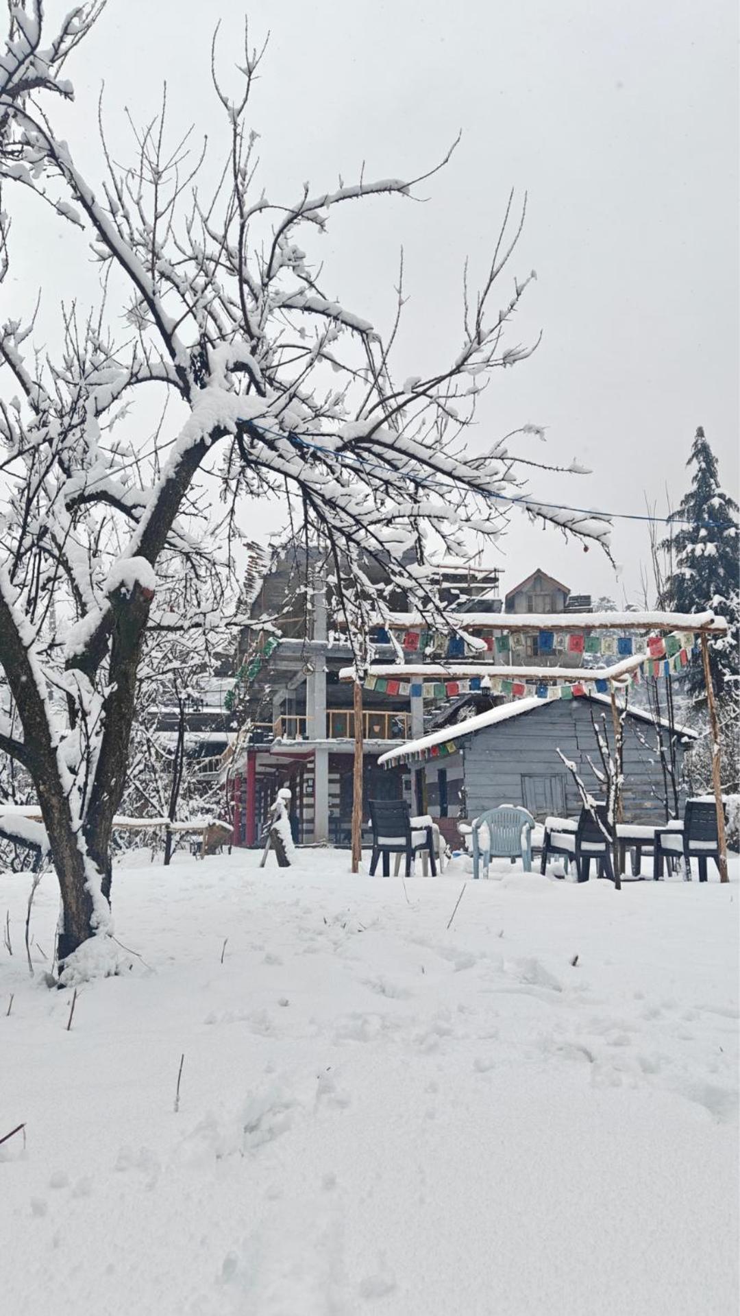 Basecamp Manali Hostel ภายนอก รูปภาพ
